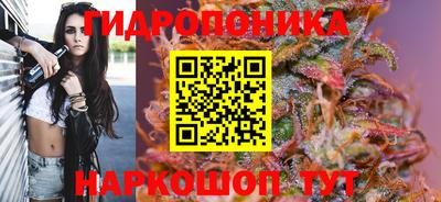 спиды Тула