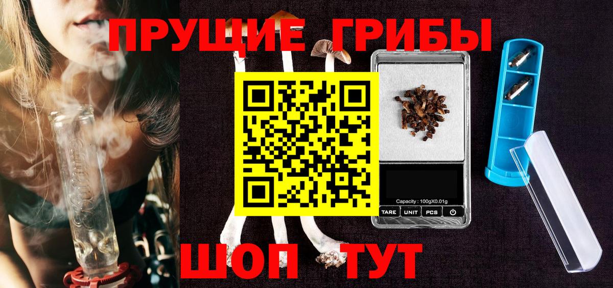 Псилоцибиновые грибы Magic Shrooms  Вход с VPN  Вятские Поляны  где можно купить   Галлюциногенные грибы Psilocybe 